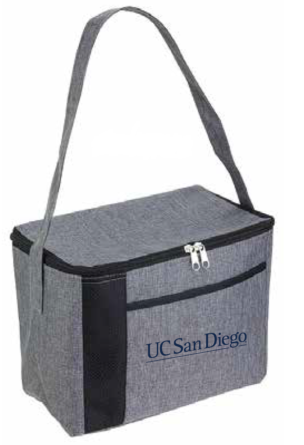 UCSD grey lunch bag